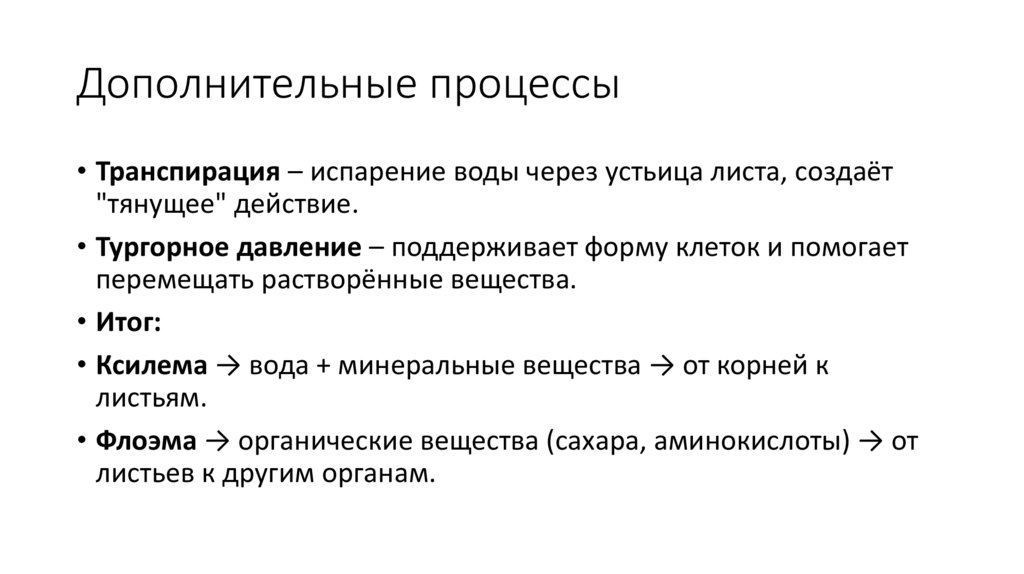 Дополнительные процессы