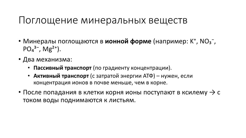 Поглощение минеральных веществ