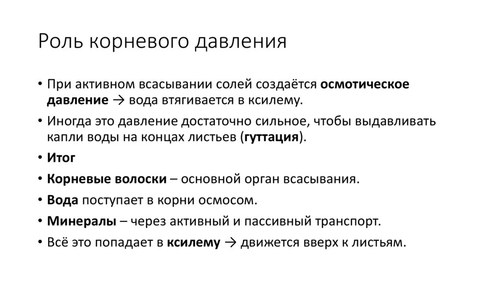 Роль корневого давления