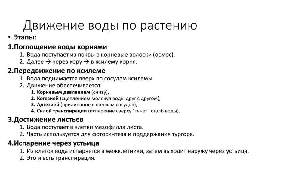 Движение воды по растению