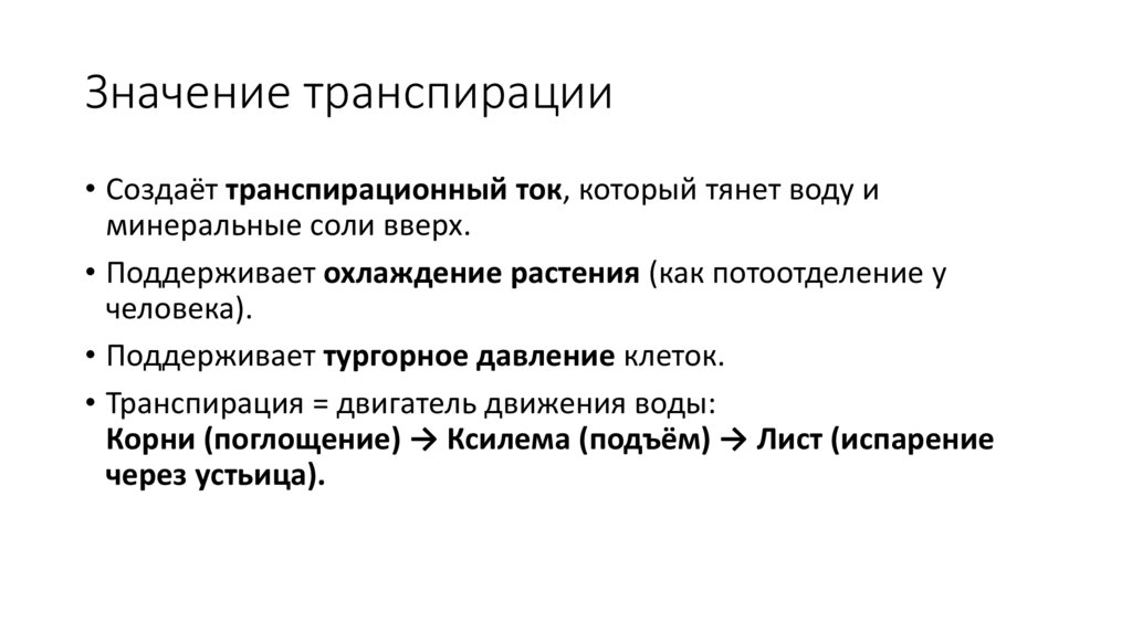 Значение транспирации