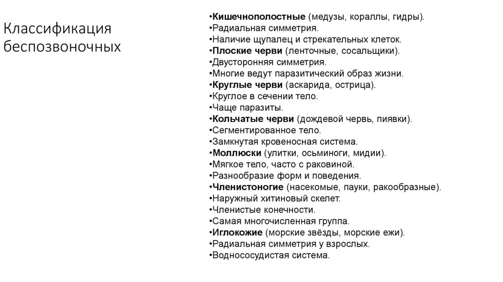 Классификация беспозвоночных