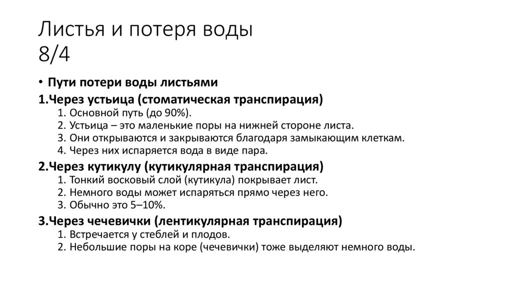 Листья и потеря воды 8/4