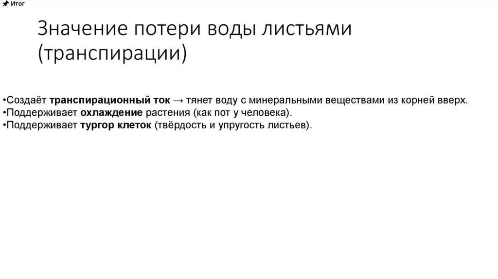 Значение потери воды листьями (транспирации)