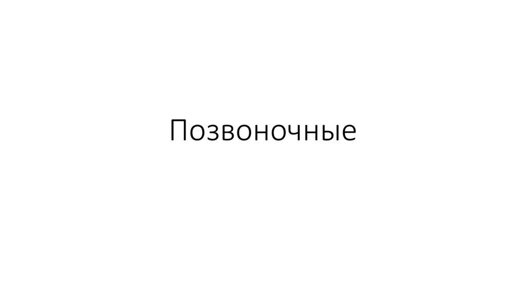 Позвоночные