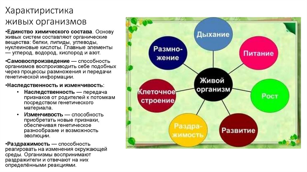 Характиристика живых организмов