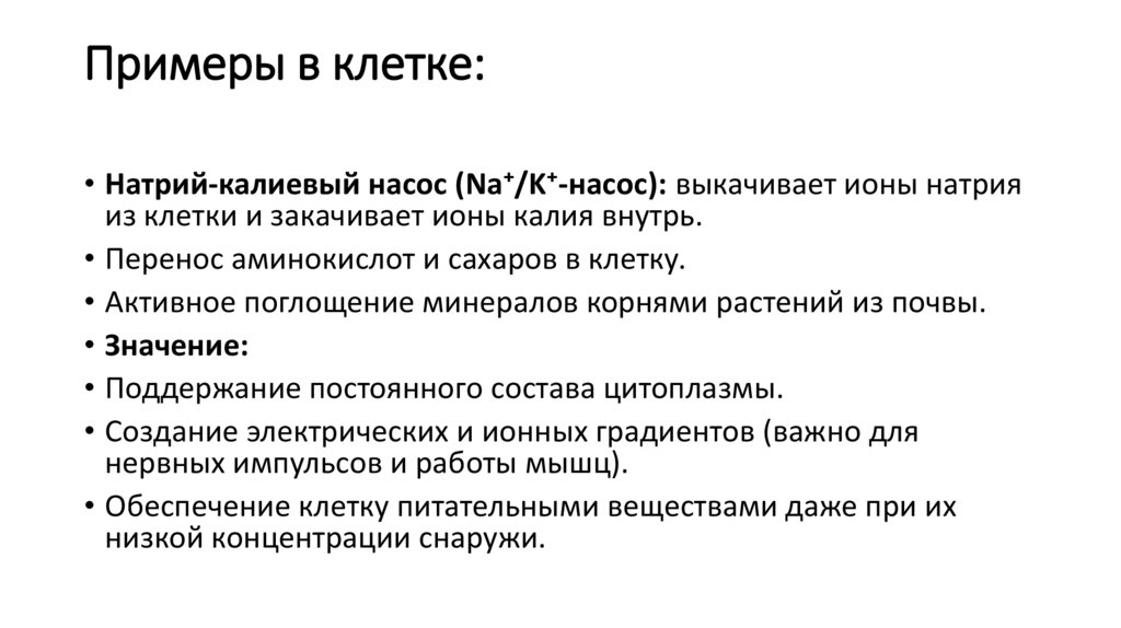 Примеры в клетке: