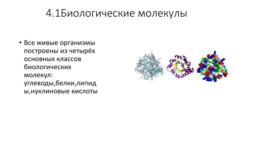 4.1Биологические молекулы