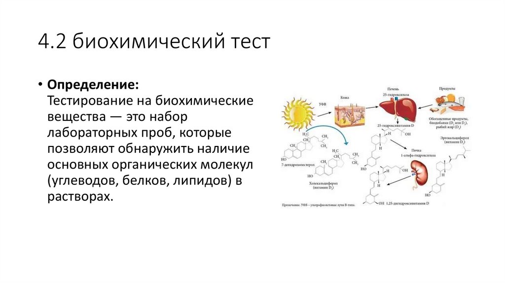 4.2 биохимический тест