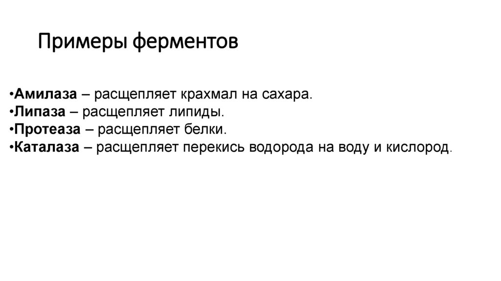 Примеры ферментов