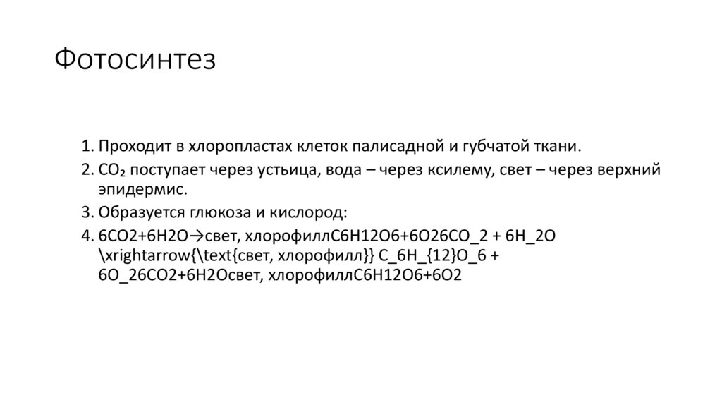 Фотосинтез