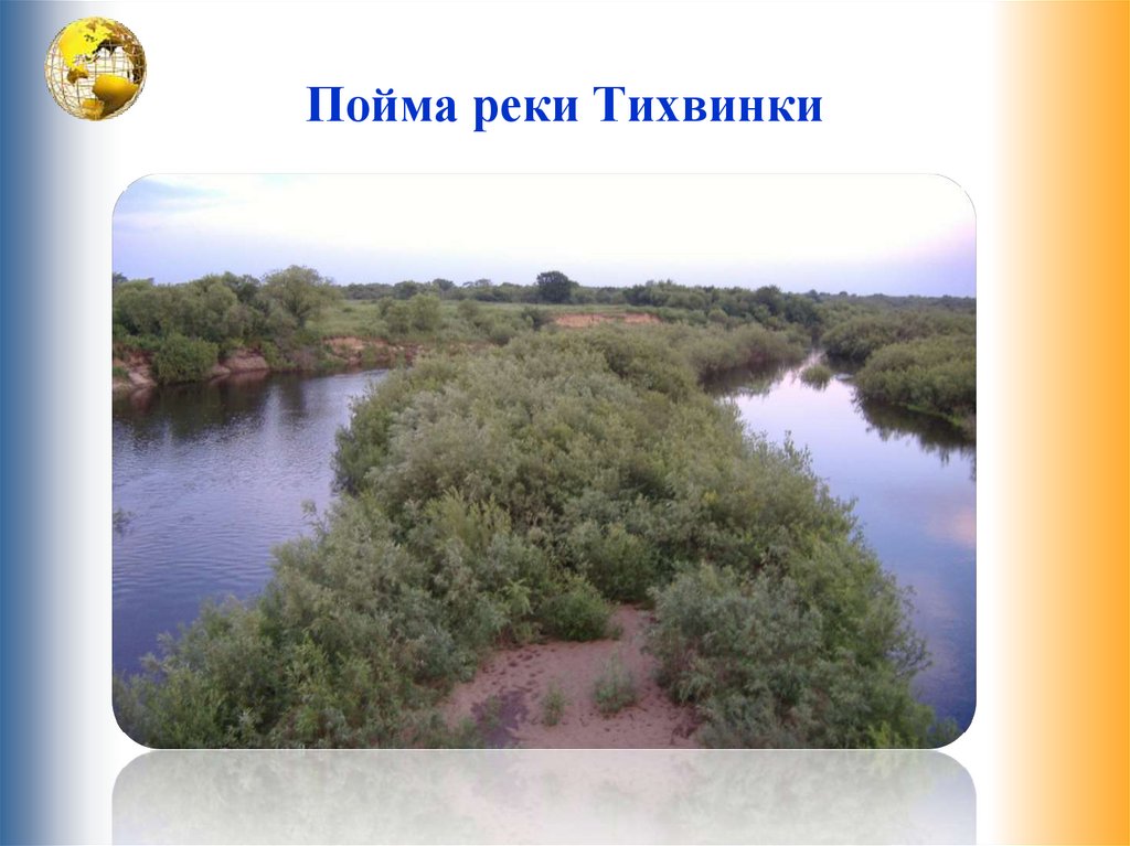 Пойма реки Тихвинки