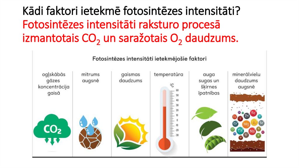 Kādi faktori ietekmē fotosintēzes intensitāti? Fotosintēzes intensitāti raksturo procesā izmantotais CO2 un saražotais O2