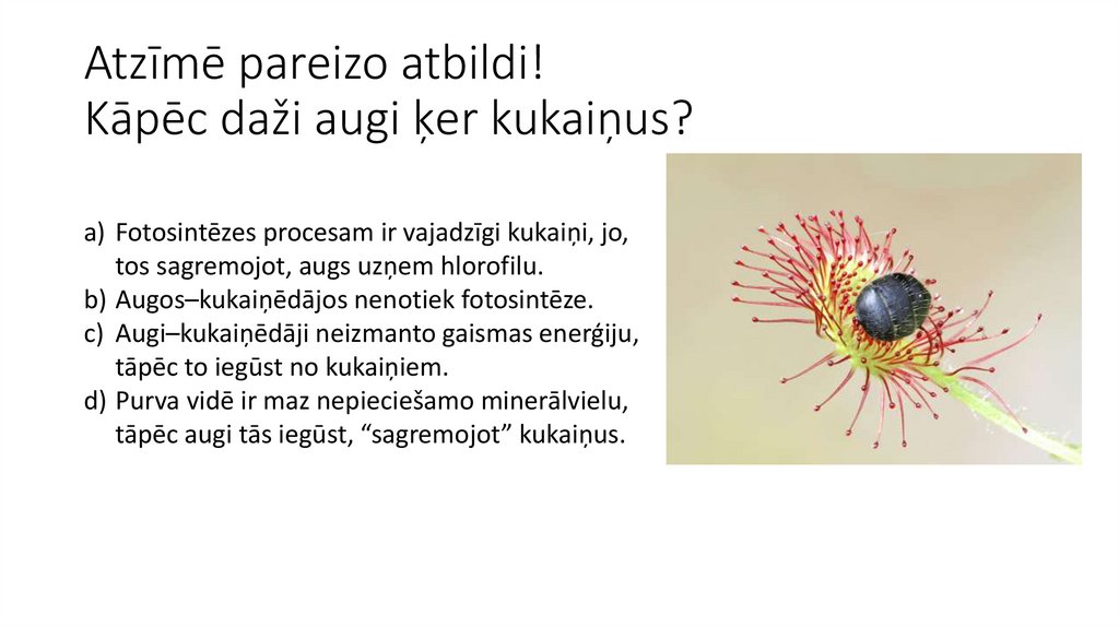 Atzīmē pareizo atbildi! Kāpēc daži augi ķer kukaiņus?