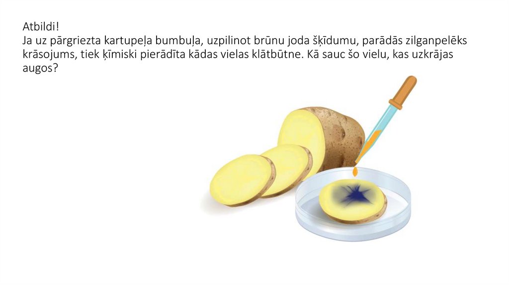 Atbildi! Ja uz pārgriezta kartupeļa bumbuļa, uzpilinot brūnu joda šķīdumu, parādās zilganpelēks krāsojums, tiek ķīmiski