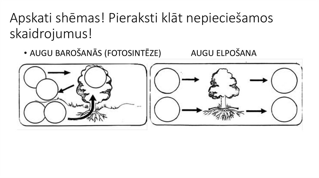 Apskati shēmas! Pieraksti klāt nepieciešamos skaidrojumus!
