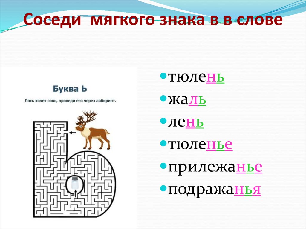 Соседи мягкого знака в в слове