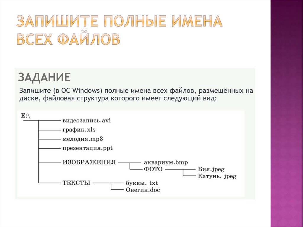 Запишите полные имена всех файлов