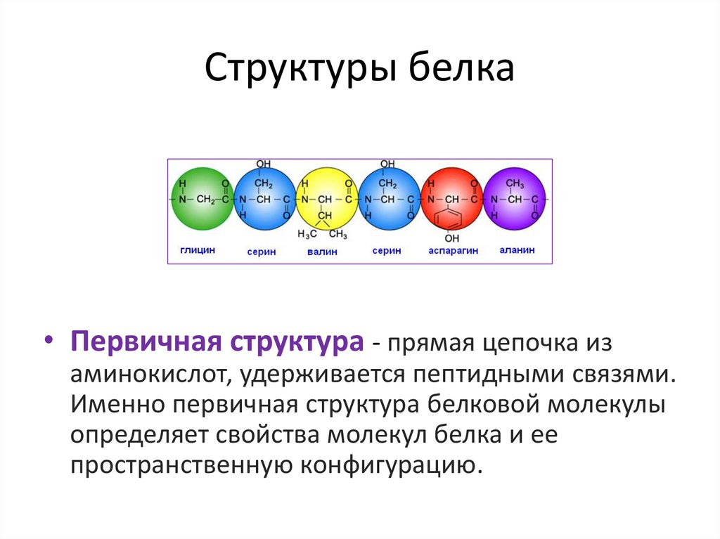 Структуры белка