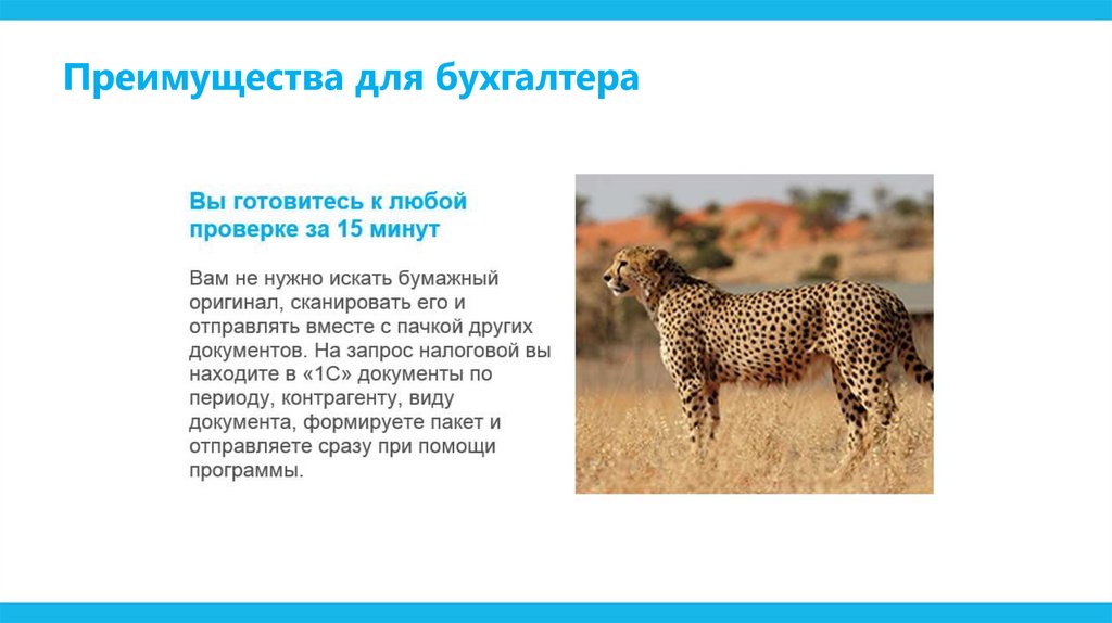 Преимущества для бухгалтера