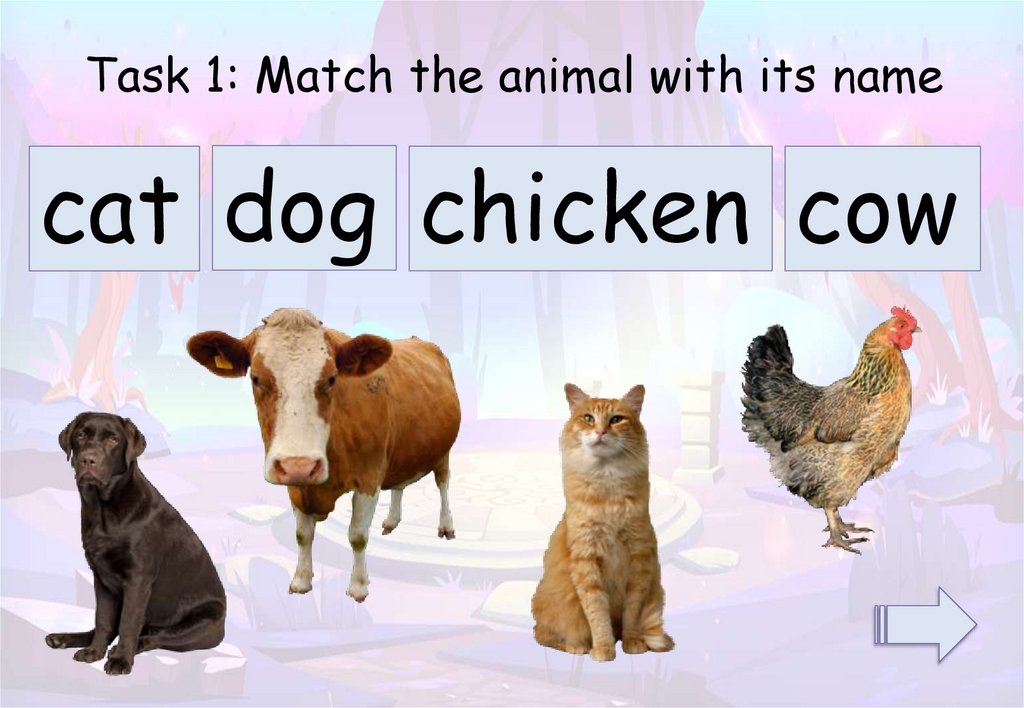Task 1: Match the animal with its name