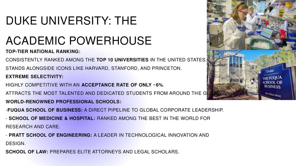 Top-Tier National Ranking: Consistently ranked among the Top 10 universities in the United States. Stands alongside icons like