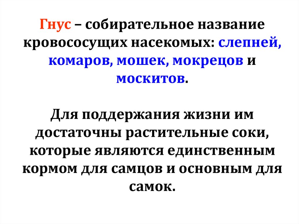 Гнус – собирательное название кровососущих насекомых: слепней, комаров, мошек, мокрецов и москитов. Для поддержания жизни им