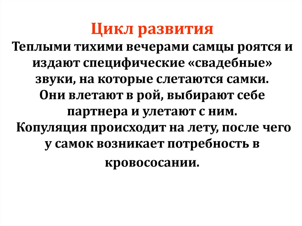 Цикл развития Теплыми тихими вечерами самцы роятся и издают специфические «свадебные» звуки, на которые слетаются самки. Они
