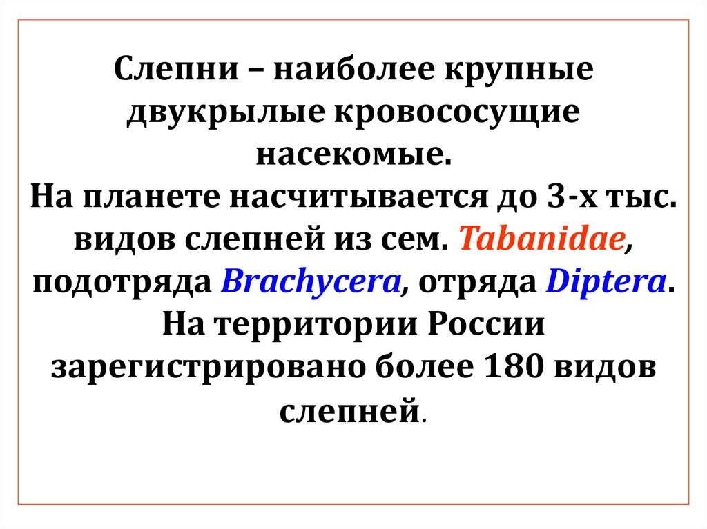 Слепни – наиболее крупные двукрылые кровососущие насекомые. На планете насчитывается до 3-х тыс. видов слепней из сем.