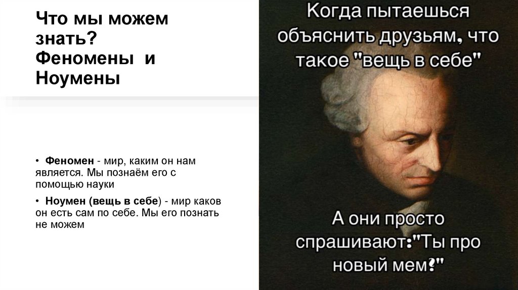 Что мы можем знать? Феномены  и Ноумены