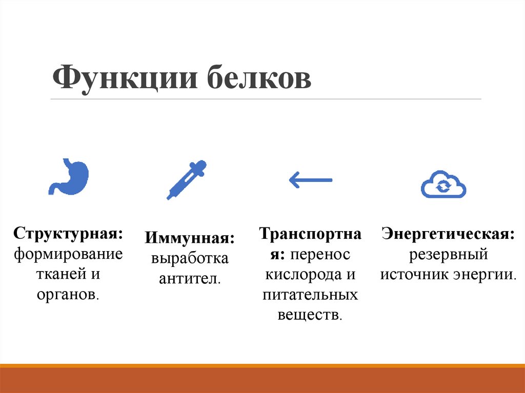 Функции белков