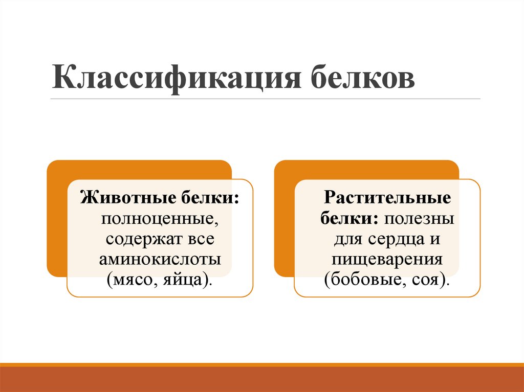 Классификация белков