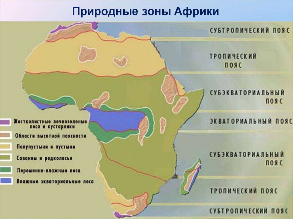 Природные зоны Африки