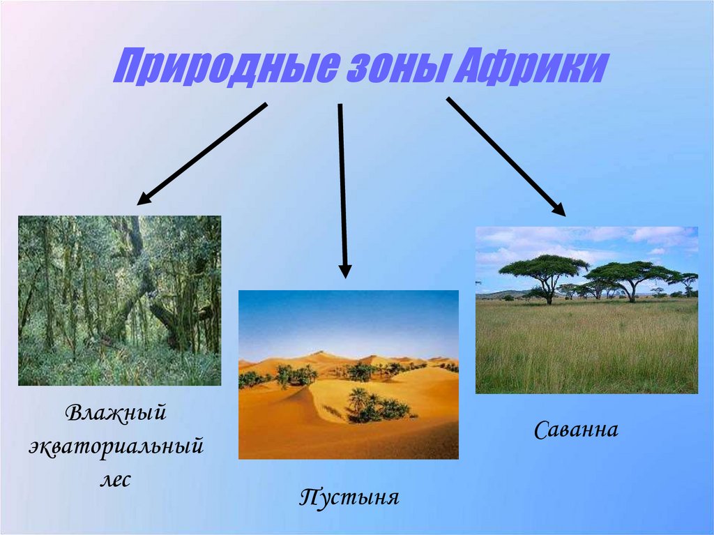 Природные зоны Африки