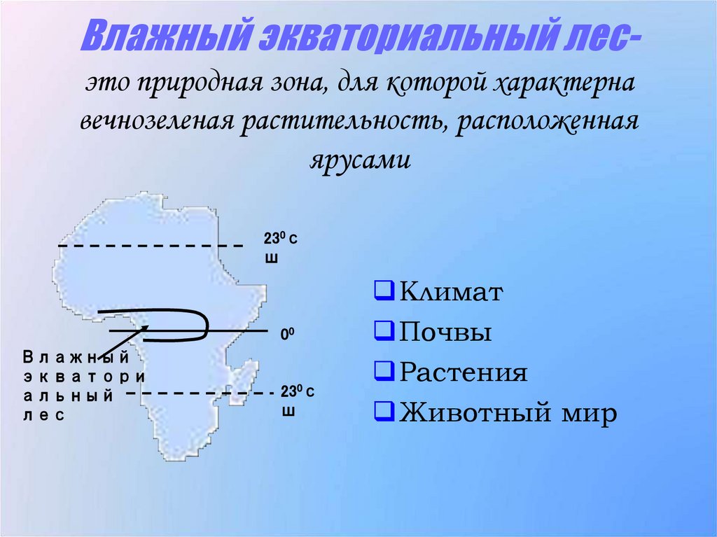 Влажный экваториальный лес- это природная зона, для которой характерна вечнозеленая растительность, расположенная ярусами