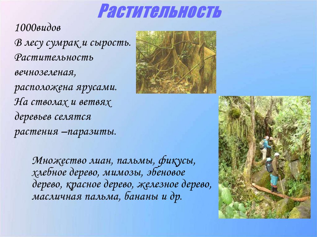 Растительность