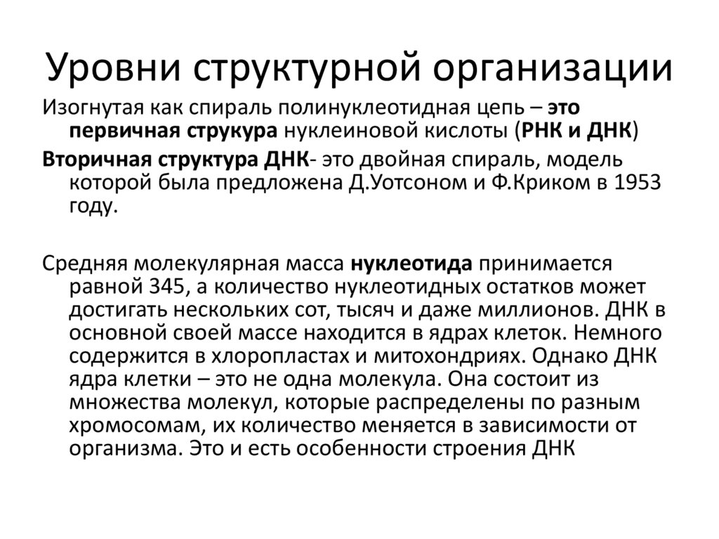 Уровни структурной организации