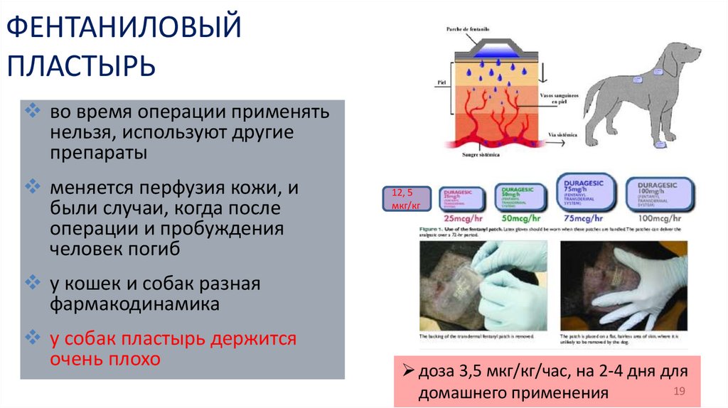 ФЕНТАНИЛОВЫЙ ПЛАСТЫРЬ