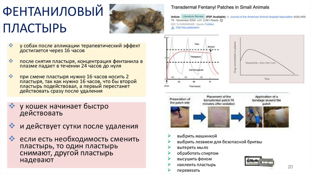 ФЕНТАНИЛОВЫЙ ПЛАСТЫРЬ
