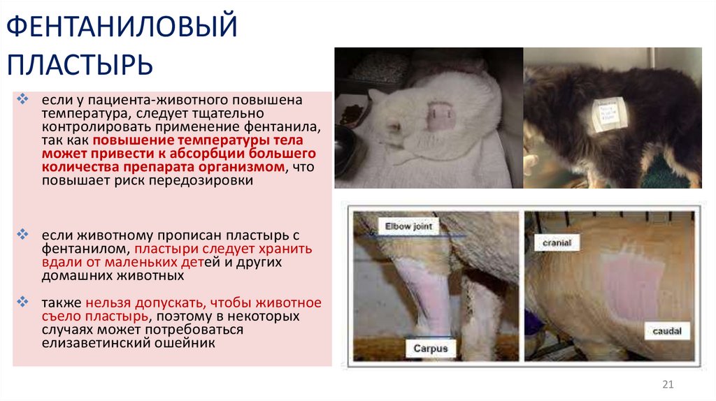 ФЕНТАНИЛОВЫЙ ПЛАСТЫРЬ