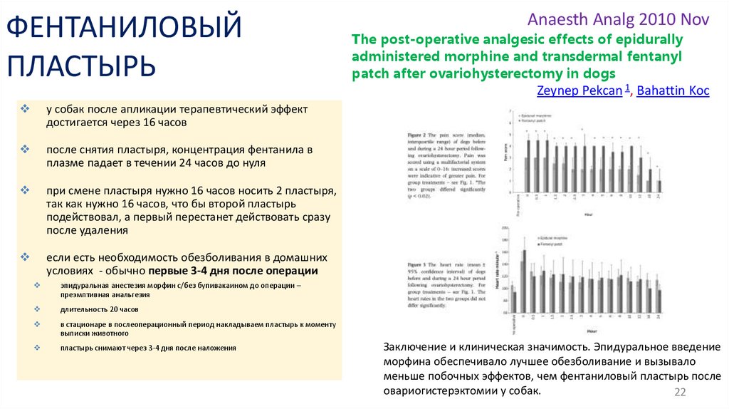 ФЕНТАНИЛОВЫЙ ПЛАСТЫРЬ