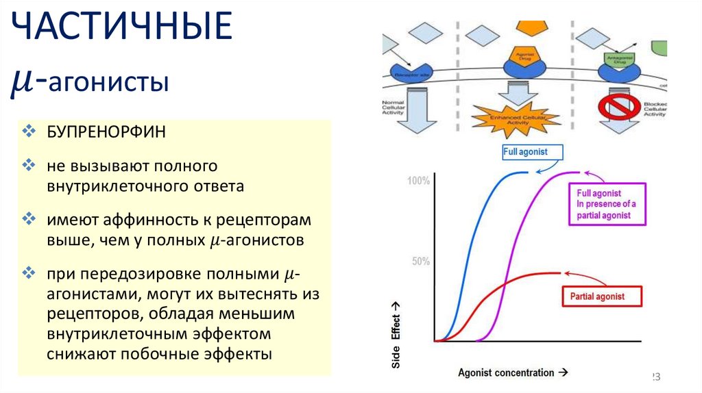 ЧАСТИЧНЫЕ μ-агонисты