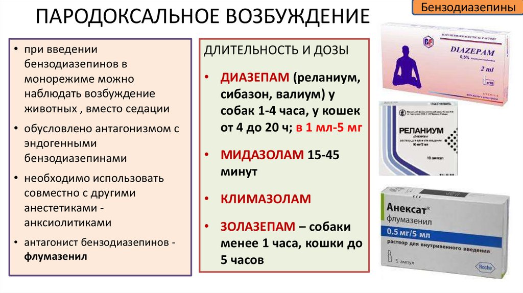 ПАРОДОКСАЛЬНОЕ ВОЗБУЖДЕНИЕ