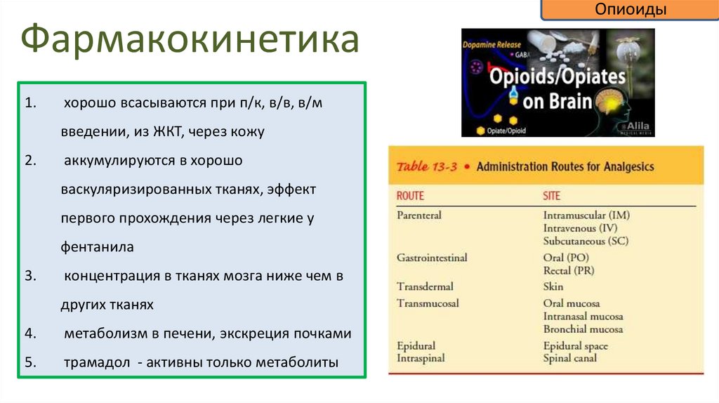 Фармакокинетика