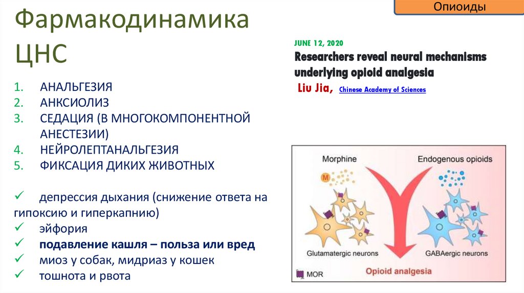 Фармакодинамика ЦНС