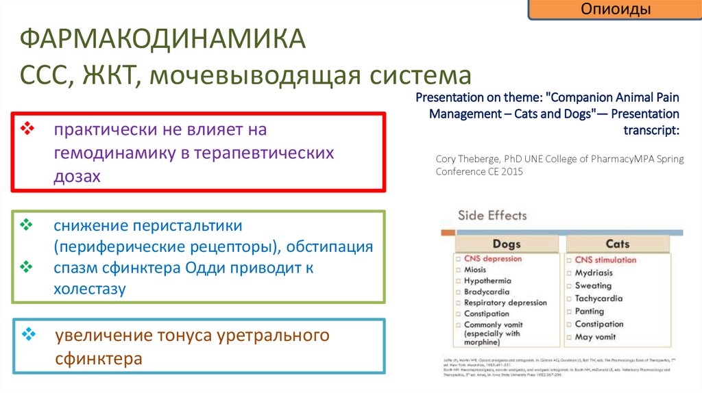 ФАРМАКОДИНАМИКА ССС, ЖКТ, мочевыводящая система