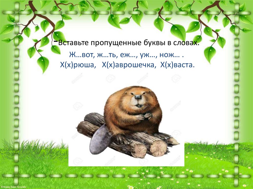 -Вставьте пропущенные буквы в словах. Ж…вот, ж…ть, еж…, уж…, нож… . Х(х)рюша, Х(х)аврошечка, Х(х)васта.