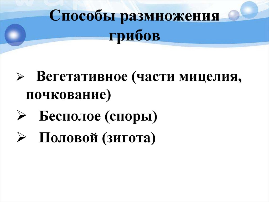 Способы размножения грибов