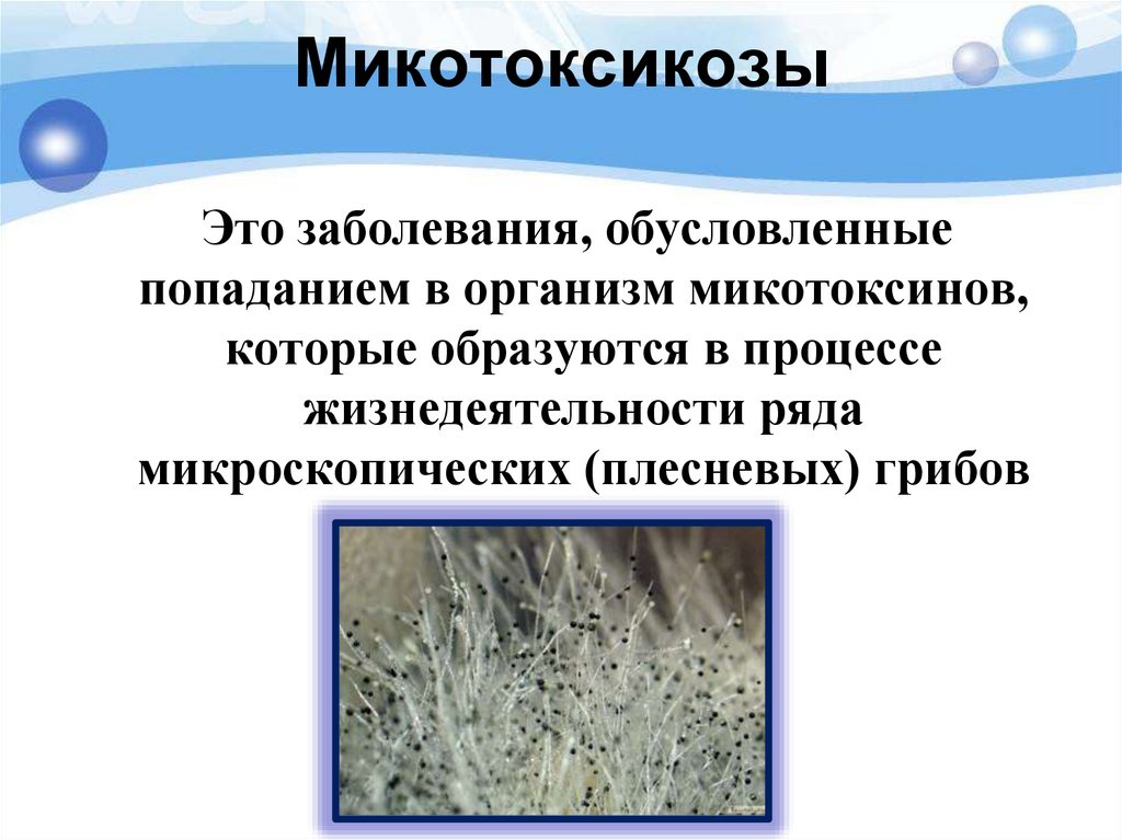 Микотоксикозы