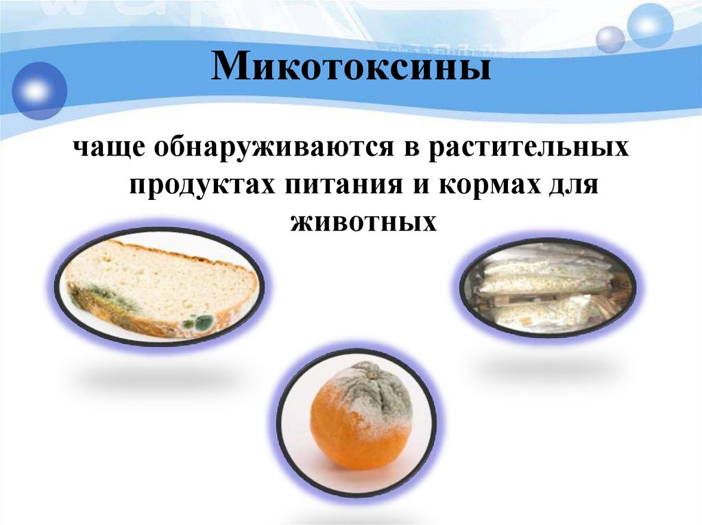 Микотоксины